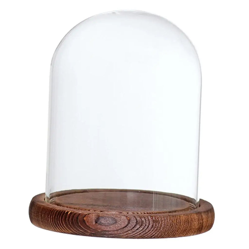 Cloche de Vidro Decorativo para Plantas e Flores